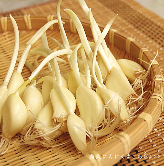 月とらいおん・豆腐製品・北海道産大豆100％使用の手作り豆腐